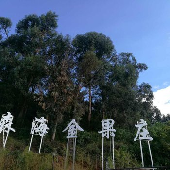 抚仙湖森海金果庄园