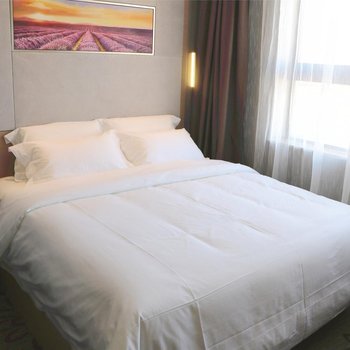 麗枫酒店(拉萨布达拉宫纳金路店)酒店提供图片