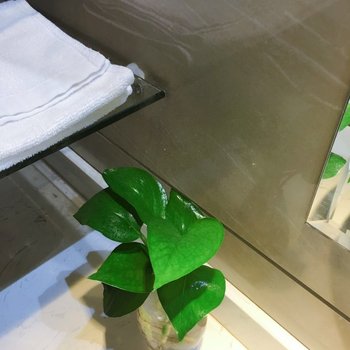 上海皓园宾馆酒店提供图片