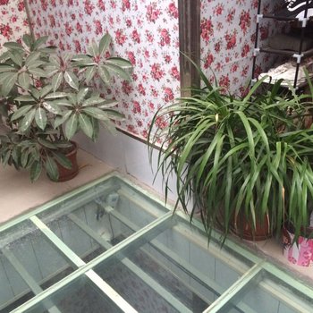 兰州鑫鑫网馆络旅酒店提供图片