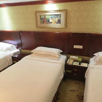 维也纳国际酒店(广州火车站店)(原三元里店)酒店提供图片