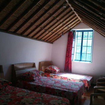 北京金海湖紫藤花开湖边小屋
