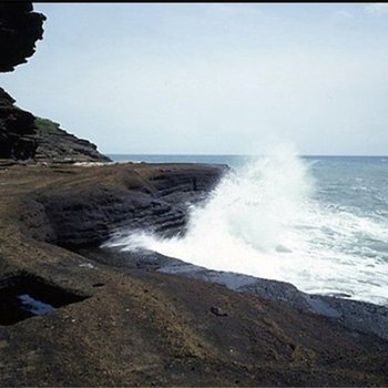 北海涠洲岛东日红农家乐酒店提供图片