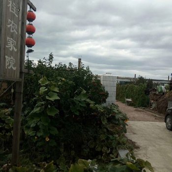 盘锦李香柱民宿酒店提供图片