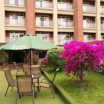 成都典尚精品酒店酒店提供图片