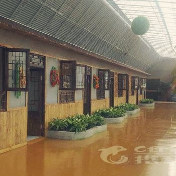 盘锦市绿之春农家院酒店提供图片