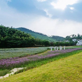 濮塘桃里度假村酒店提供图片