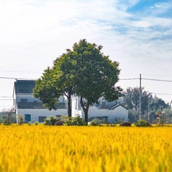 苏州禺谷君客栈酒店提供图片