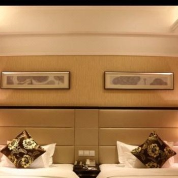 武汉光谷君和格雷斯酒店酒店提供图片
