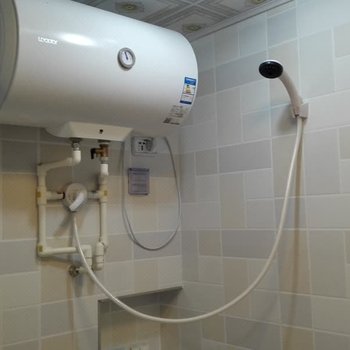 白山起龍普通公寓酒店提供图片