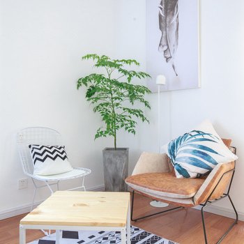 青岛梧桐树下连锁民宿酒店提供图片