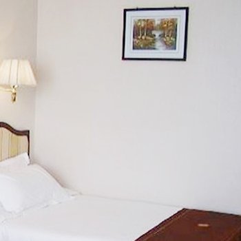 天水华辰大酒店酒店提供图片