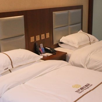 内乡东方盛世酒店酒店提供图片