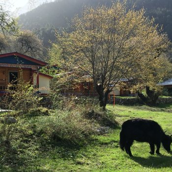 波密拉格桑桃花园精品民宿酒店提供图片