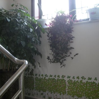 北京司马台晓芙农家院