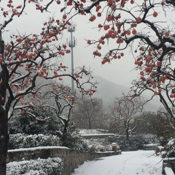 西安行川公寓～见山居酒店提供图片