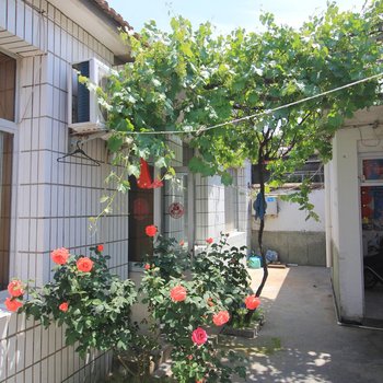 蓬莱海渤旅社