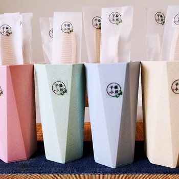 子凝公寓(北京杏坛路店)