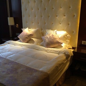 泰州金龙大酒店酒店提供图片