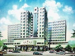 桃园住都大饭店酒店提供图片