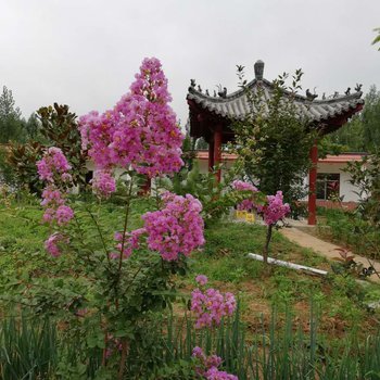 曲阜尼山圣源山庄