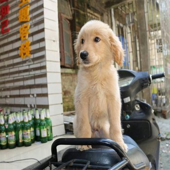 桂林酒逢知己客栈酒店提供图片