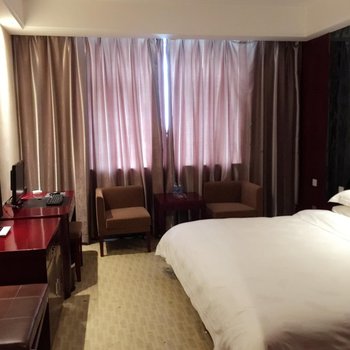 定边金龙大酒店酒店提供图片