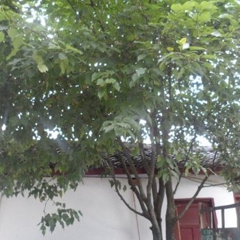 广元春满园农家乐