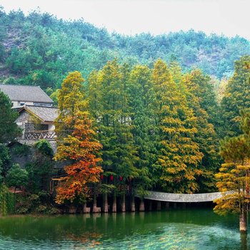 途窝假日庄园(兰溪诸葛八卦村店)(原卧龙湖红杉部落农庄)