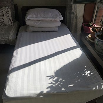 阿拉善黄不二公寓(2号店)酒店提供图片