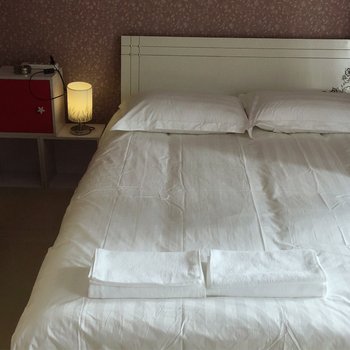 西安婷儿普通公寓酒店提供图片