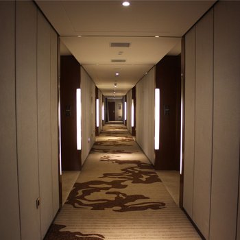 天津威斯康顿温泉酒店酒店提供图片