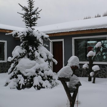 雪乡艺术家酒店酒店提供图片