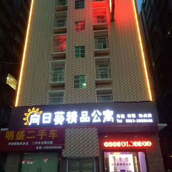 普宁向日葵精品公寓