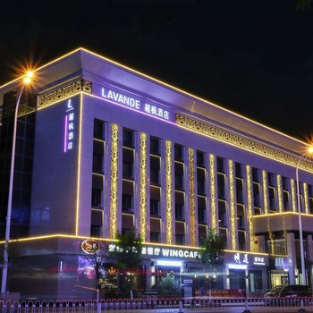 麗枫酒店(天津滨海于家堡金融中心店)