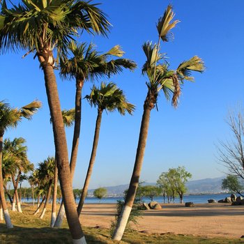 西昌新海湾度假山庄酒店提供图片