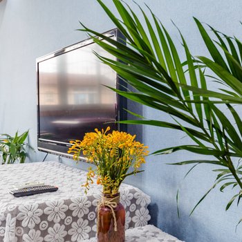 成都成都秀美之居普通公寓(锦里西路店)酒店提供图片