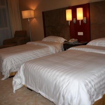 雷山泰穆塞尔旅游度假酒店酒店提供图片
