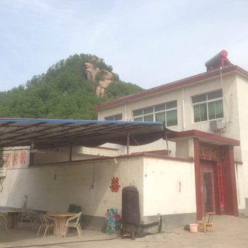 鲁山青山绿水农家院酒店提供图片