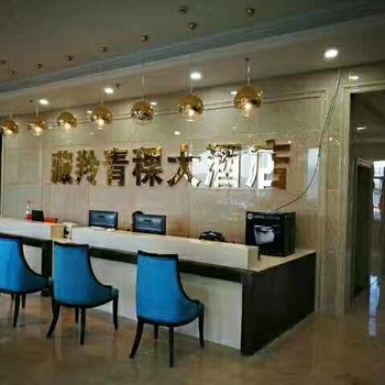 乌兰藏羚青稞大酒店酒店提供图片