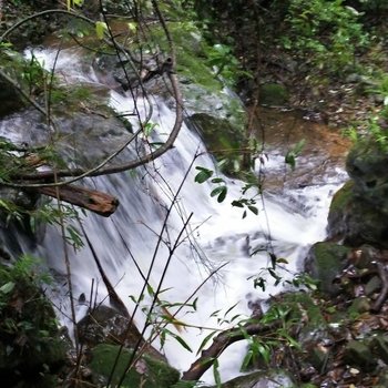 韶关八岭山庄酒店提供图片