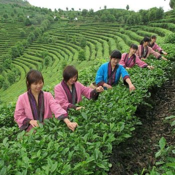 龙胜龙脊重阳酒楼酒店提供图片