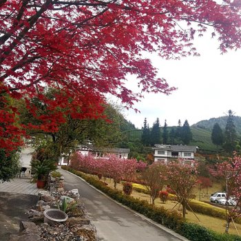 湄潭烟岚旅居度假酒店酒店提供图片