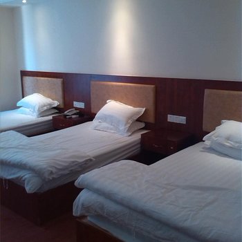 雷州英利顺隆宾馆酒店提供图片