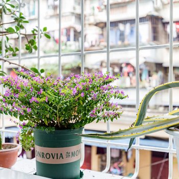 成都慢时光民宿酒店提供图片