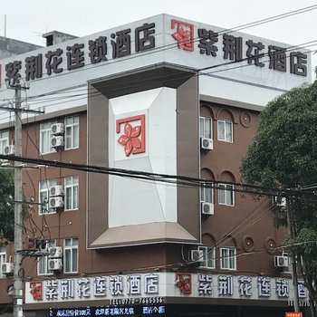 东兴市紫荆花城市酒店酒店提供图片