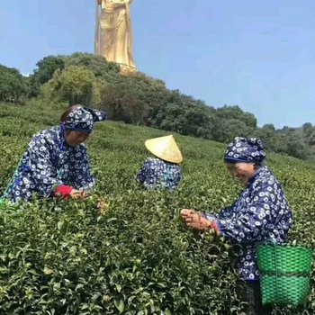 苏州依云水岸公寓酒店提供图片