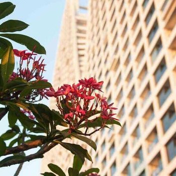 北海北部湾一号可可假日海景酒店公寓