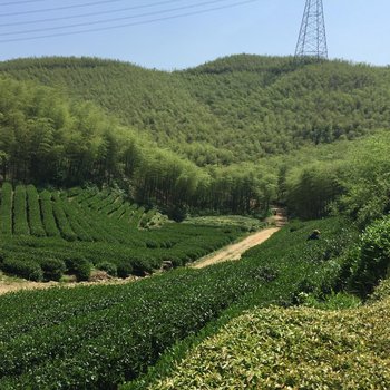 湖州听篁小隐客栈酒店提供图片