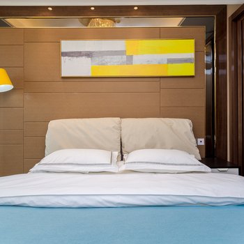 成都大宝先生普通公寓酒店提供图片